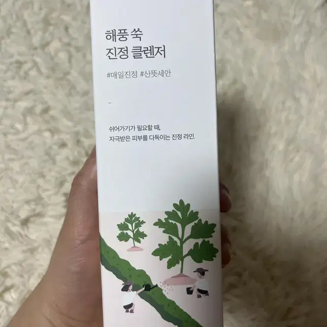 (미개봉)라운드랩 해풍 쑥 진정 클렌저 150ml