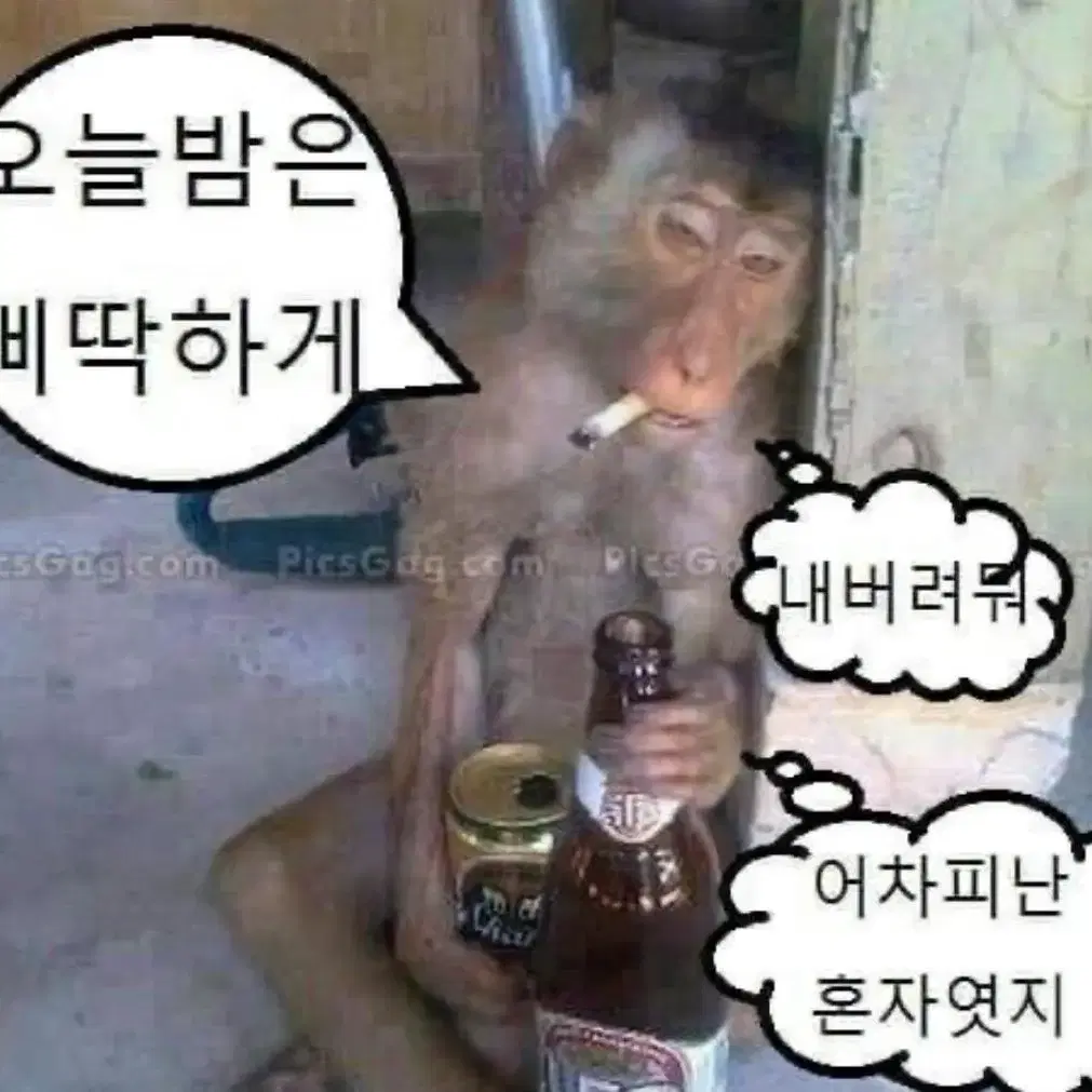 빅뱅 굿즈 구해요