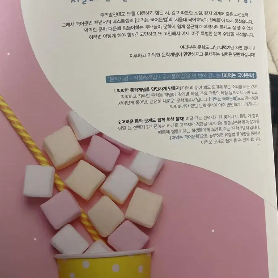 떠먹는 국어문학 쏠티북스 / 수능 국어문제집 / 내신 국어 문제집