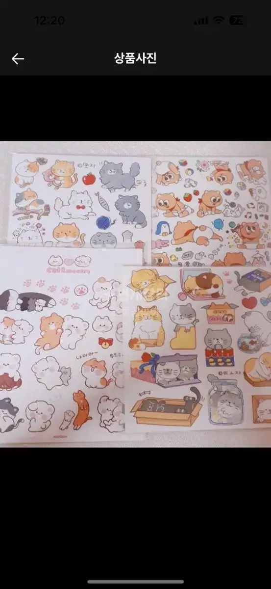 thumbnail-1