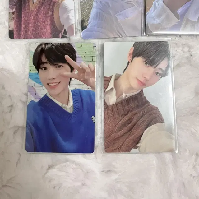 엔하이픈 enhypen 박성훈 디비디 DVD 꾸꾸 포카 포토카드 양도