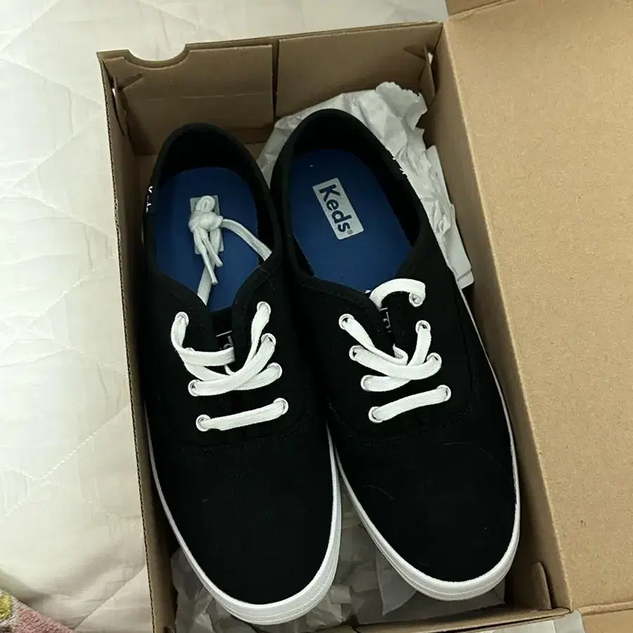 keds 케즈 챔피온 컨버스 230 블랙 시착1번