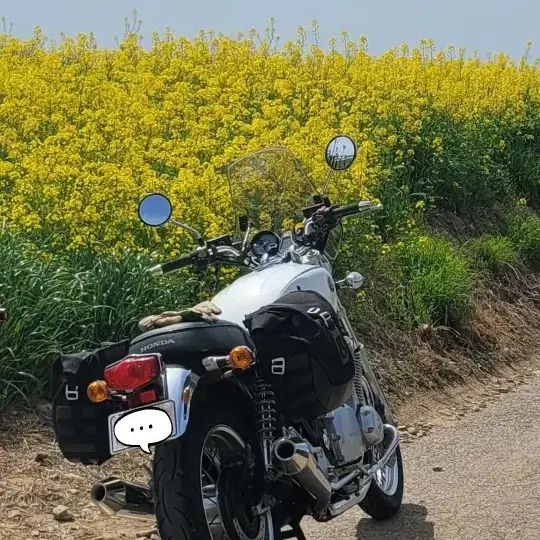 혼다cb1100ex(2014)