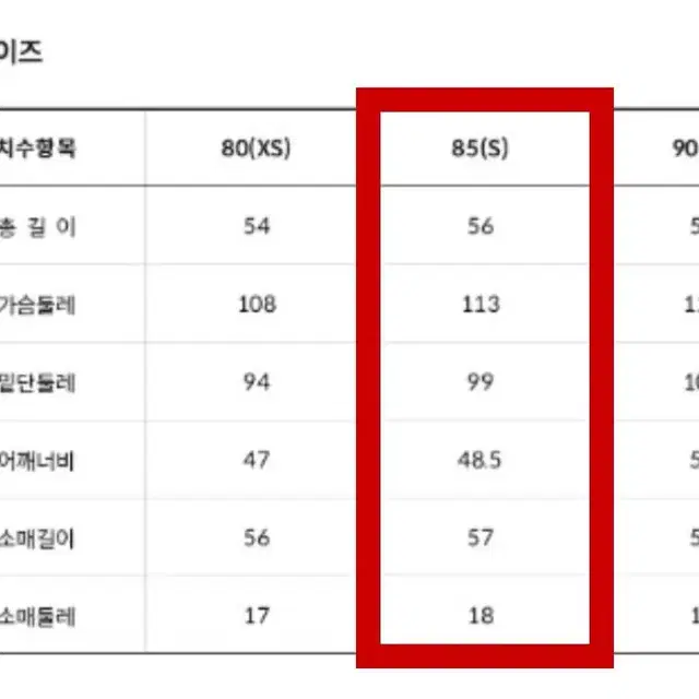 노스페이스 여성 노벨티 눕시 패딩 실버 85(S)