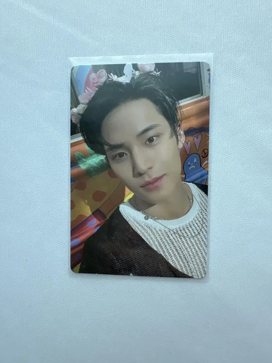 Haven mingyu wts