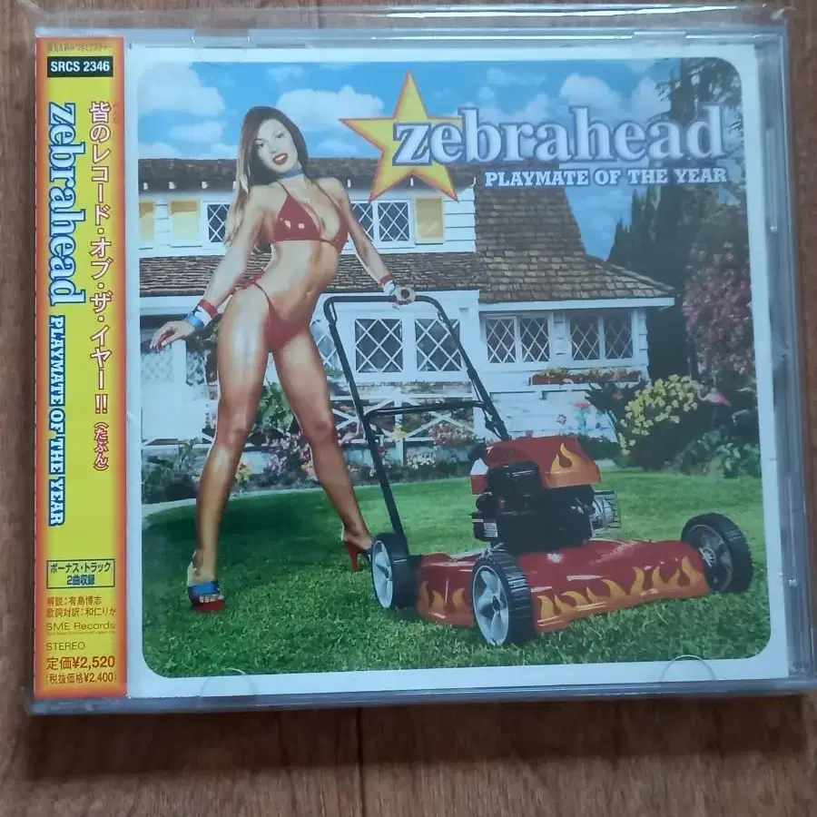 zebrahead cd 일본반 시디