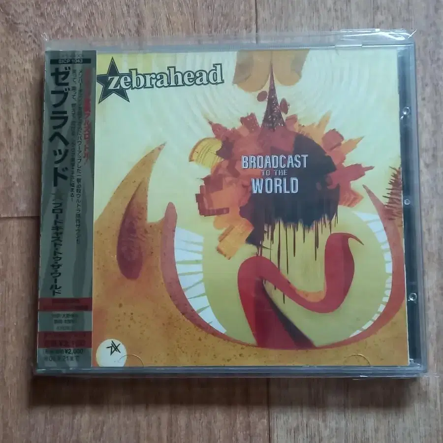 zebrahead cd 일본반 시디