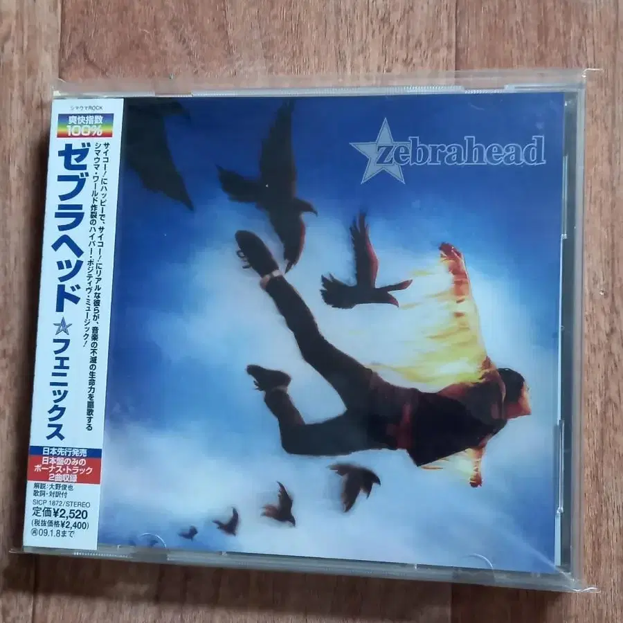 zebrahead cd 일본반 시디