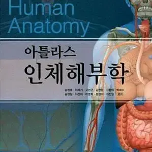 아틀라스 인체해부학