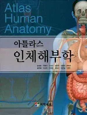 아틀라스 인체해부학