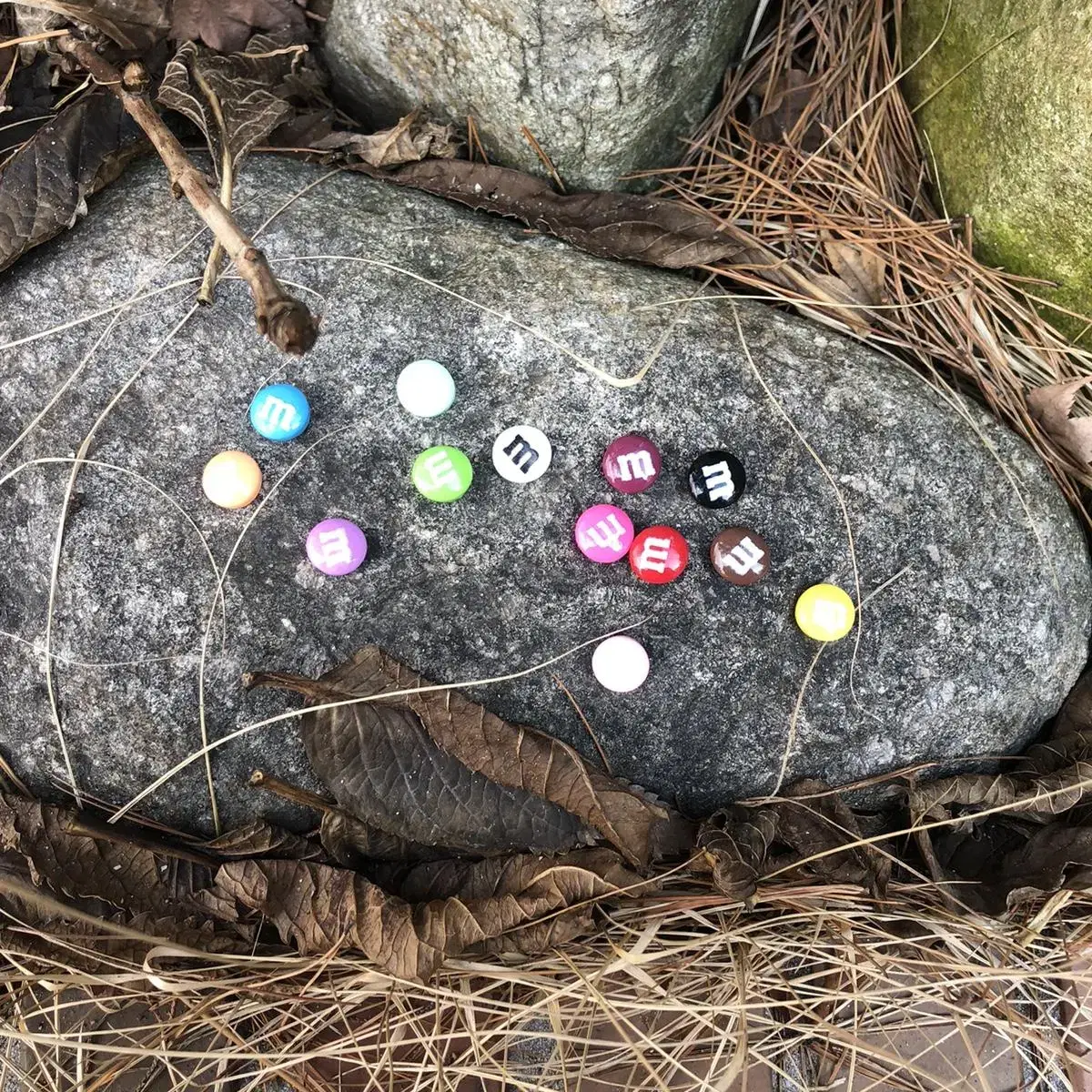 Vintage M&M'S chocolate magnet set