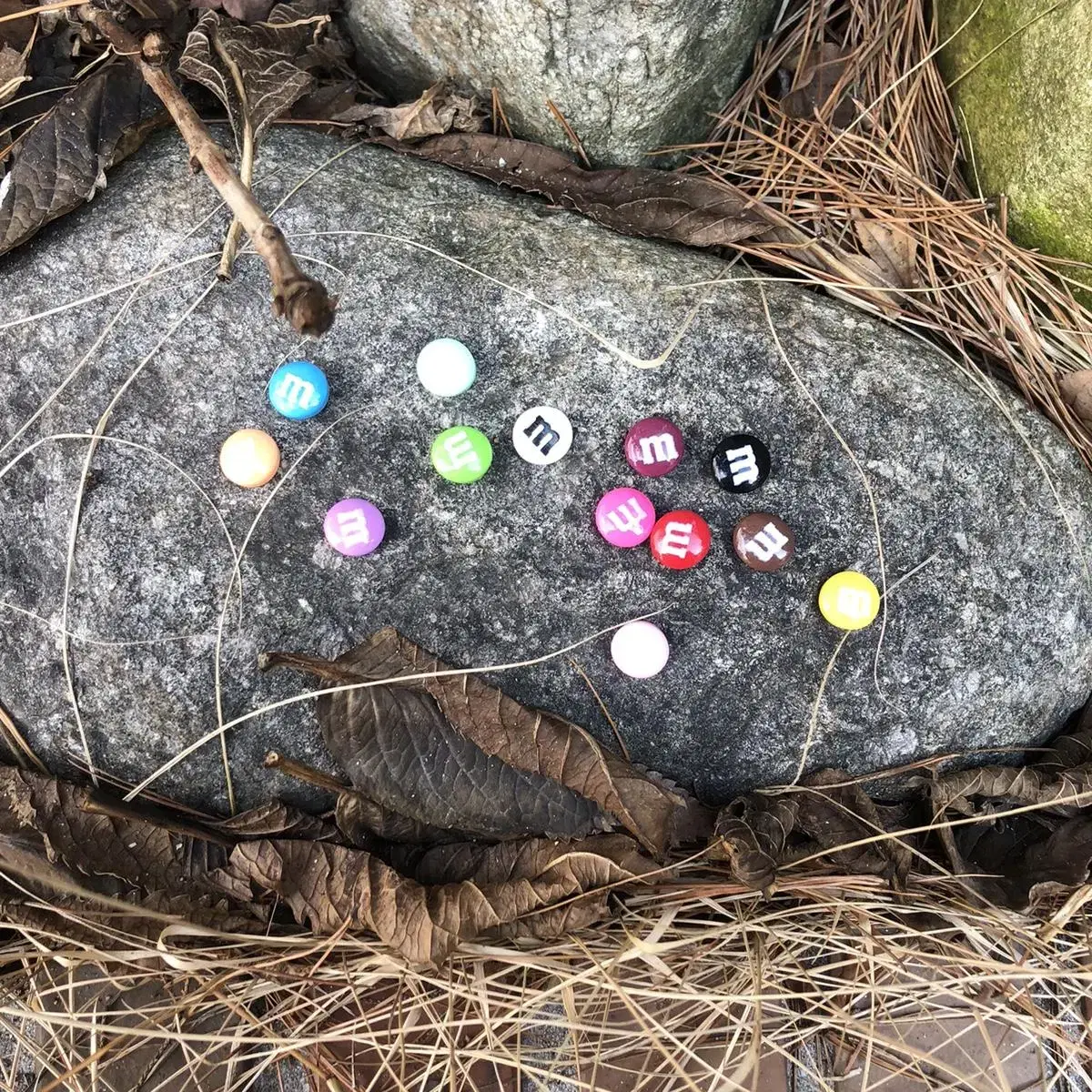 Vintage M&M'S chocolate magnet set