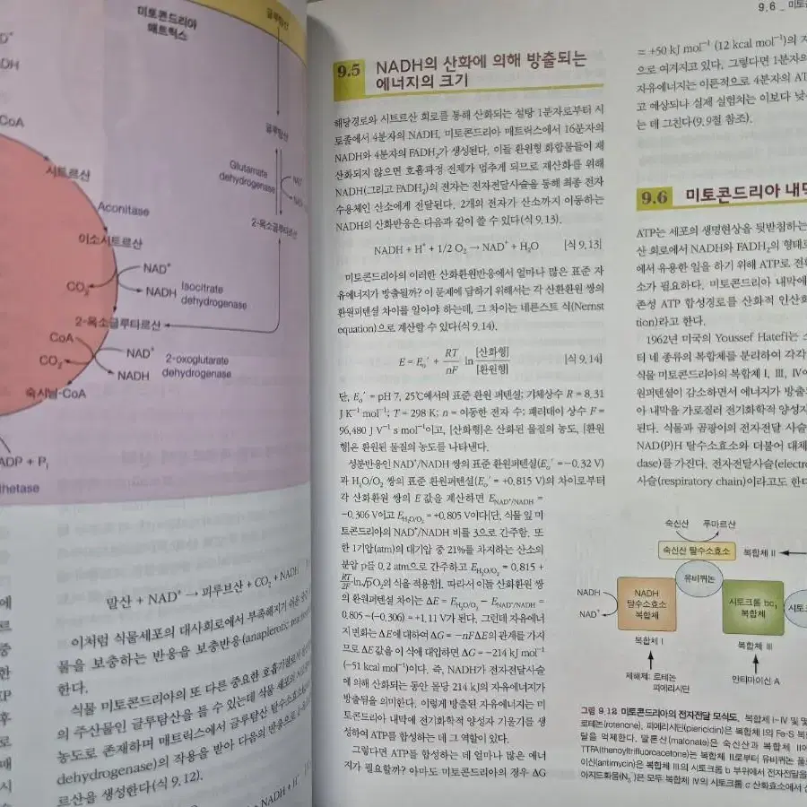 전공책(일반화학, 유기화학, 식물생리학)