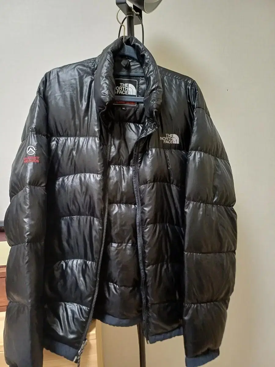 The North Face Intermittent Fei