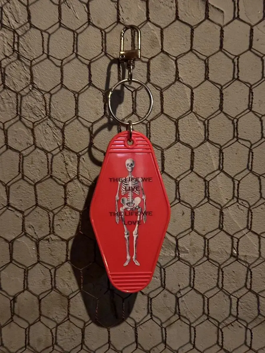 skull keyring