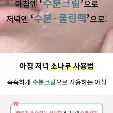 수부지 속건조 히알루론산 소나무 홍조 수분크림 여드름민감성피부 진정