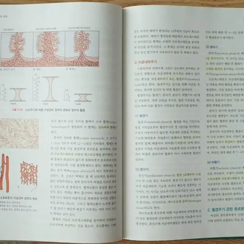 여성건강간호학 1,2 현문사