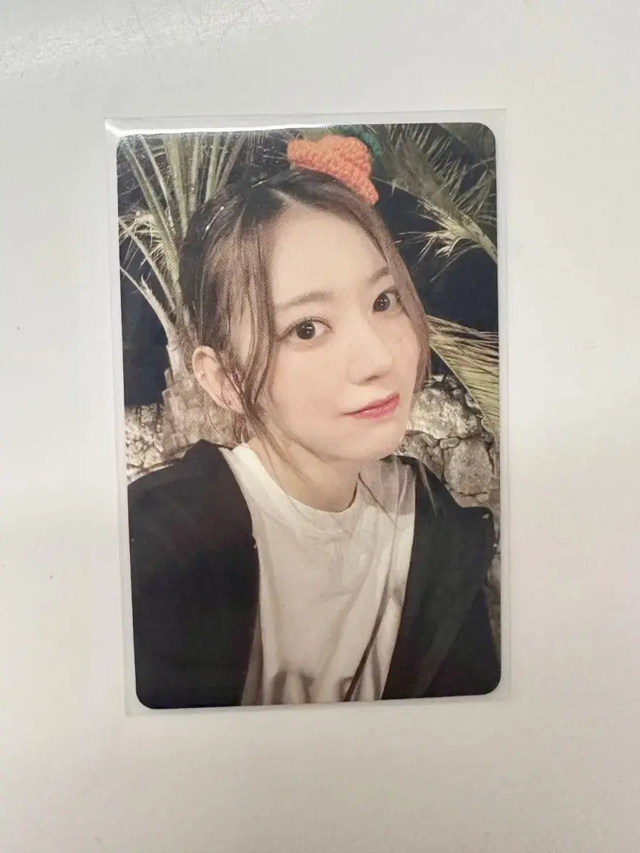 Sakura Jeju Island Mandarin oranges photo card photocard Miyawaki Sakura