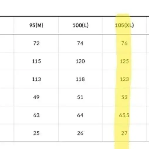 [새상품] 노스페이스 고어텍스 마운틴 바람막이 자켓 NJ2GM50B