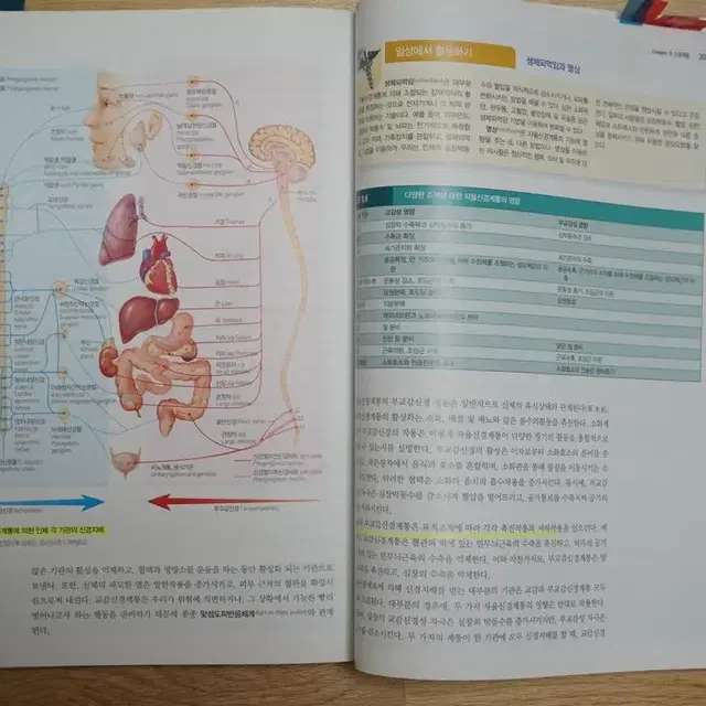 인채구조와 기능 1, 2 정문각