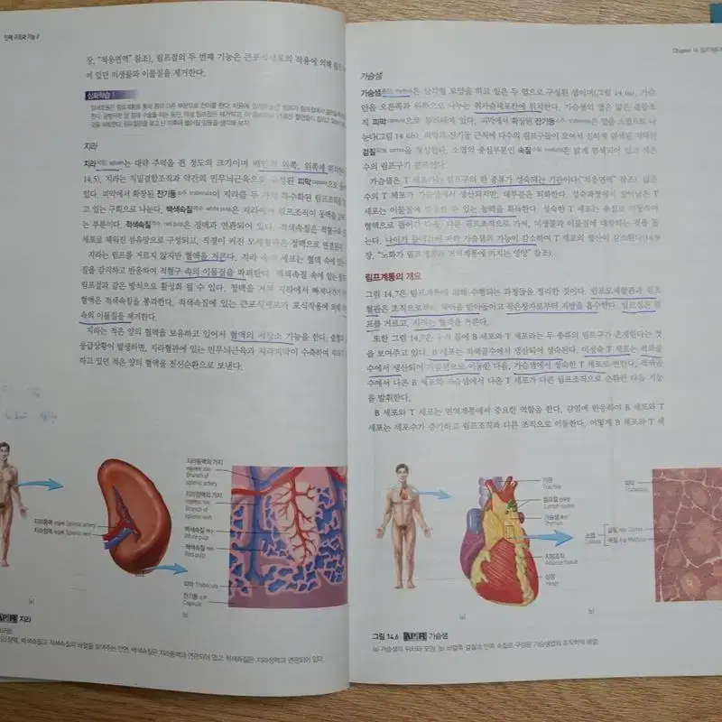 인채구조와 기능 1, 2 정문각