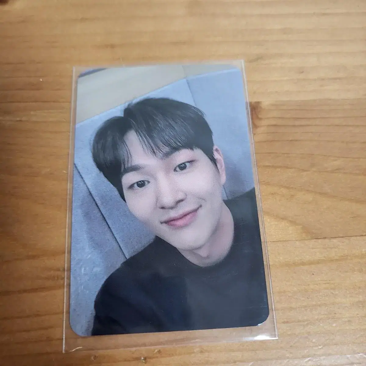 Onew Jingi Donkolmi owhat photocard WTS