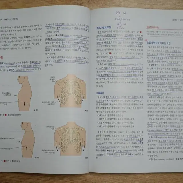 기본간호학 1,2 현문사