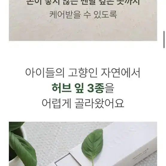 쿠씨 반려동물 인센스스틱