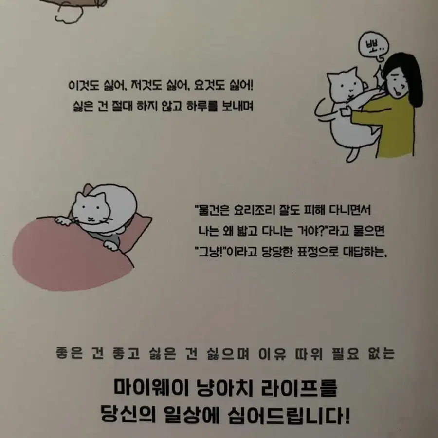 고양이 단편 만화