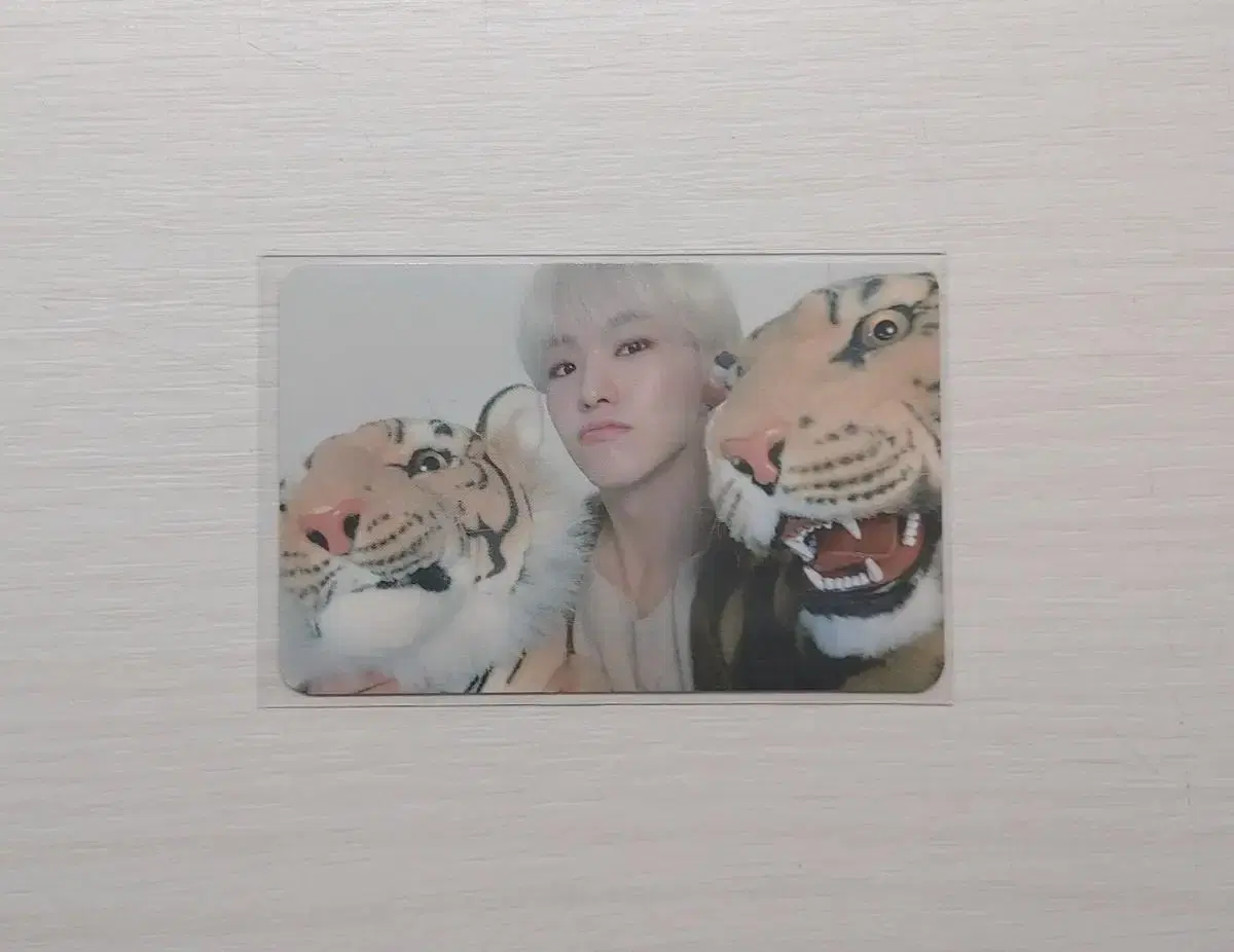 세븐틴 호시 2020 시즌그리팅 포카 양도