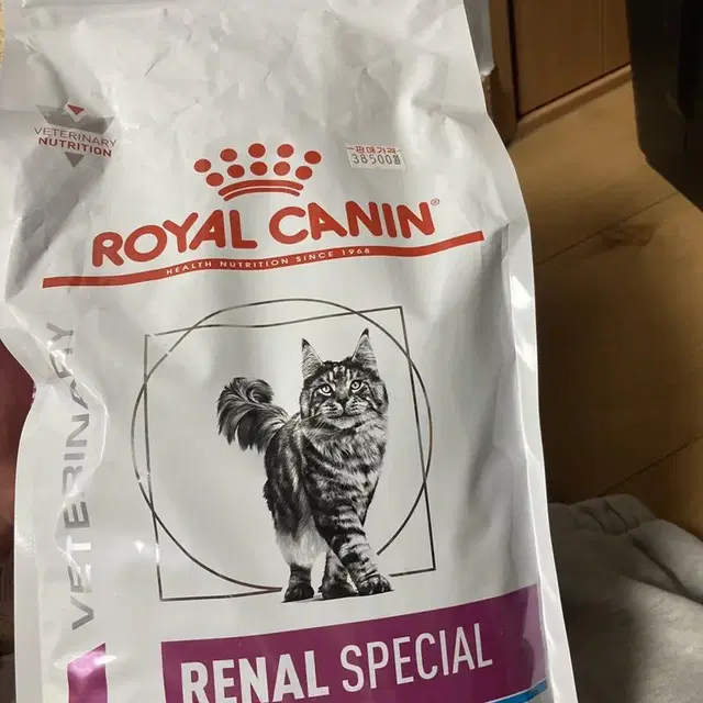 로얄캐닌 renal special 판매합니다