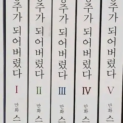 어느날 공주가 되어버렸다 어공주 웹툰 단행본