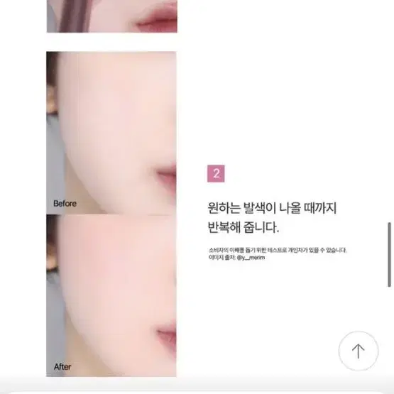 리얼테크닉스 블러셔 브러쉬