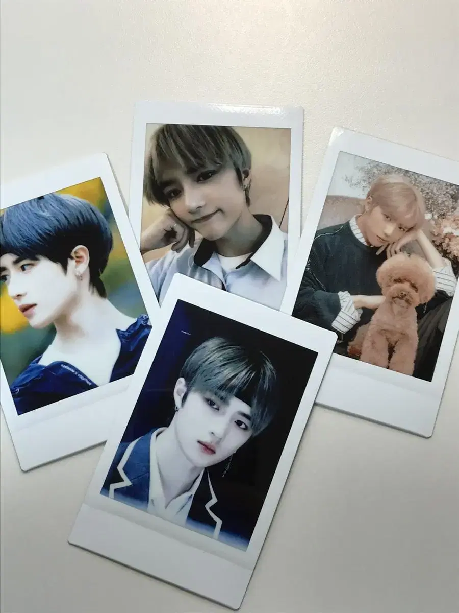 Tumblr beomgyu polaroid Photos bulk WTS