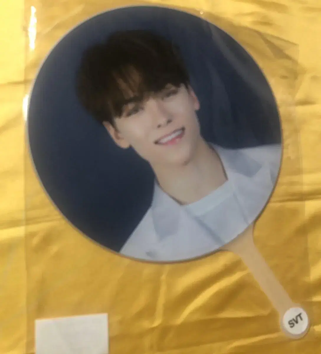 Unsealed)seventeen vernon choi hansol dino lee chan wuchiwa fan concert lightstick photocard