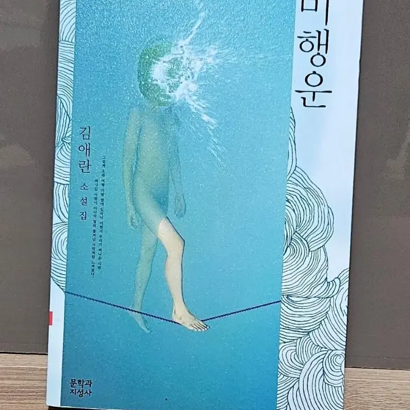 젊은 작가상 수상작품집 외 기타도서