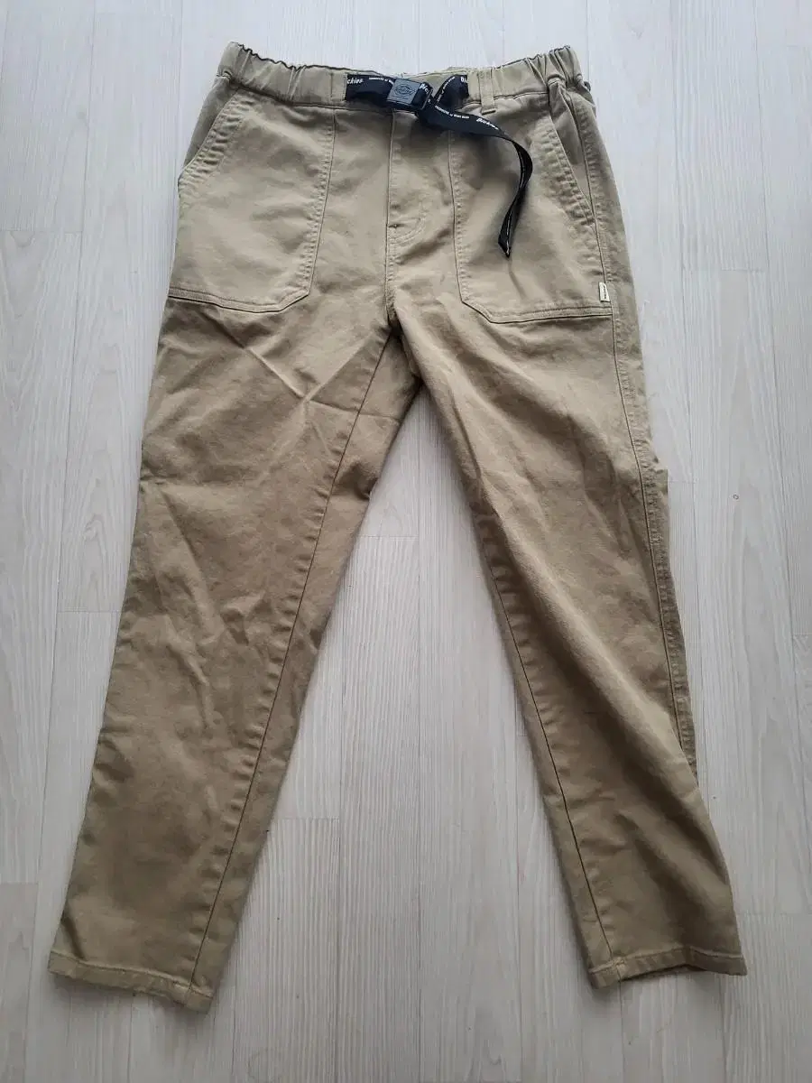 Dickies Pants873