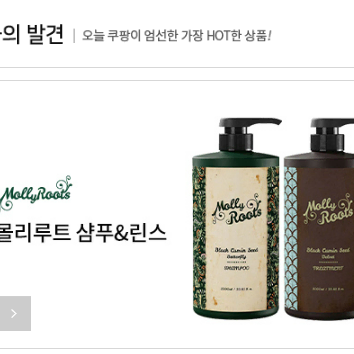 몰리루트 대용량 탈모샴푸+트리트먼트 1000ml 세트 새제품