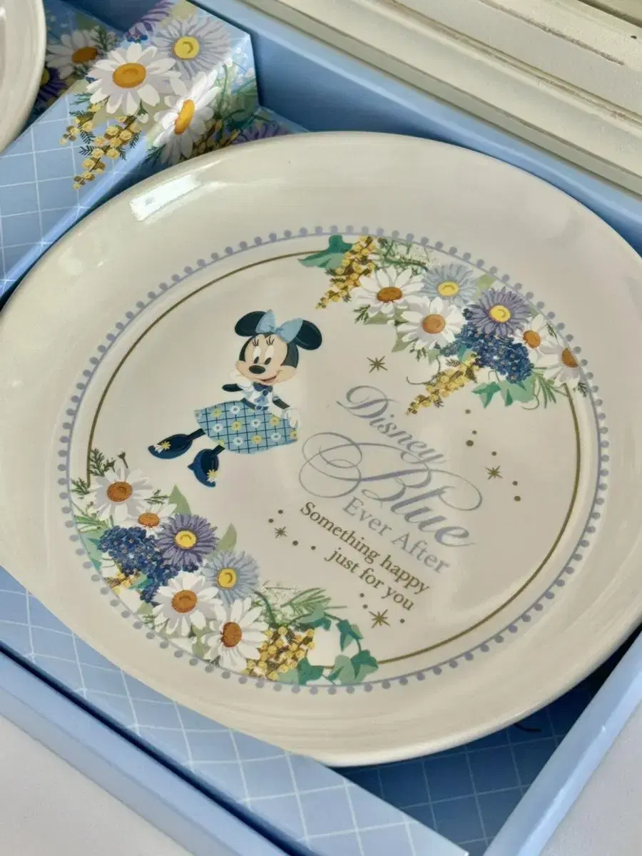 Japan Disneyland Mickey Mini Bloo Plates