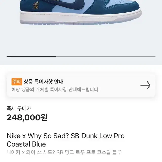 나이키 x why so sad? sb dunk low pro 270