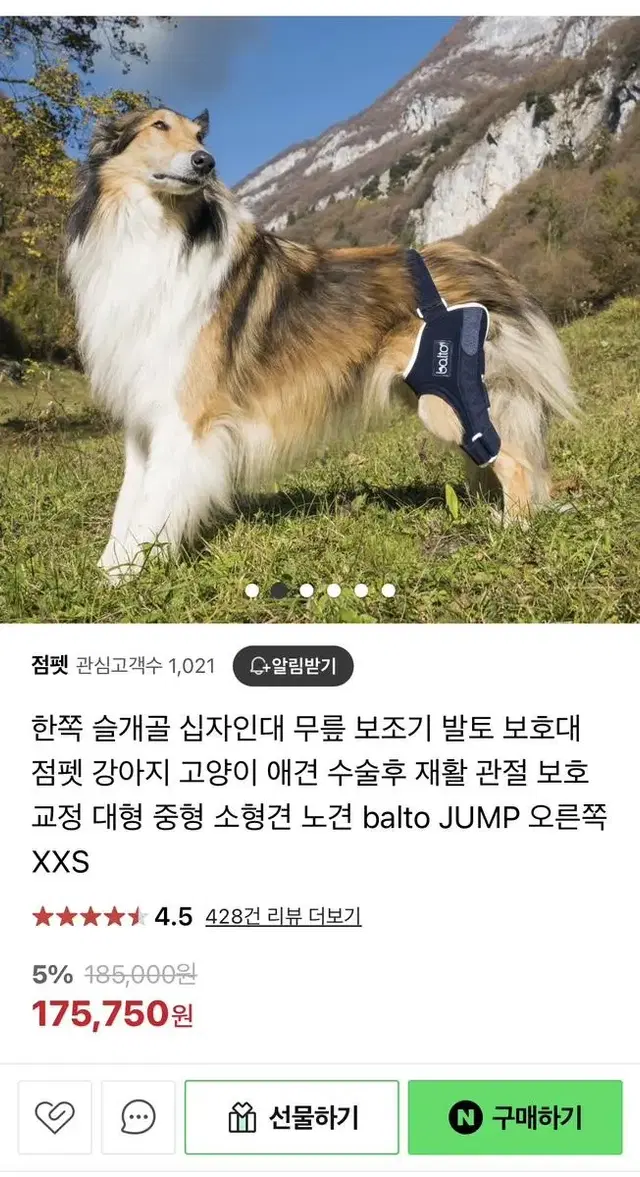 발토 강아지 무릎보호대 xs 오른쪽 쓸개골 십자인대보호