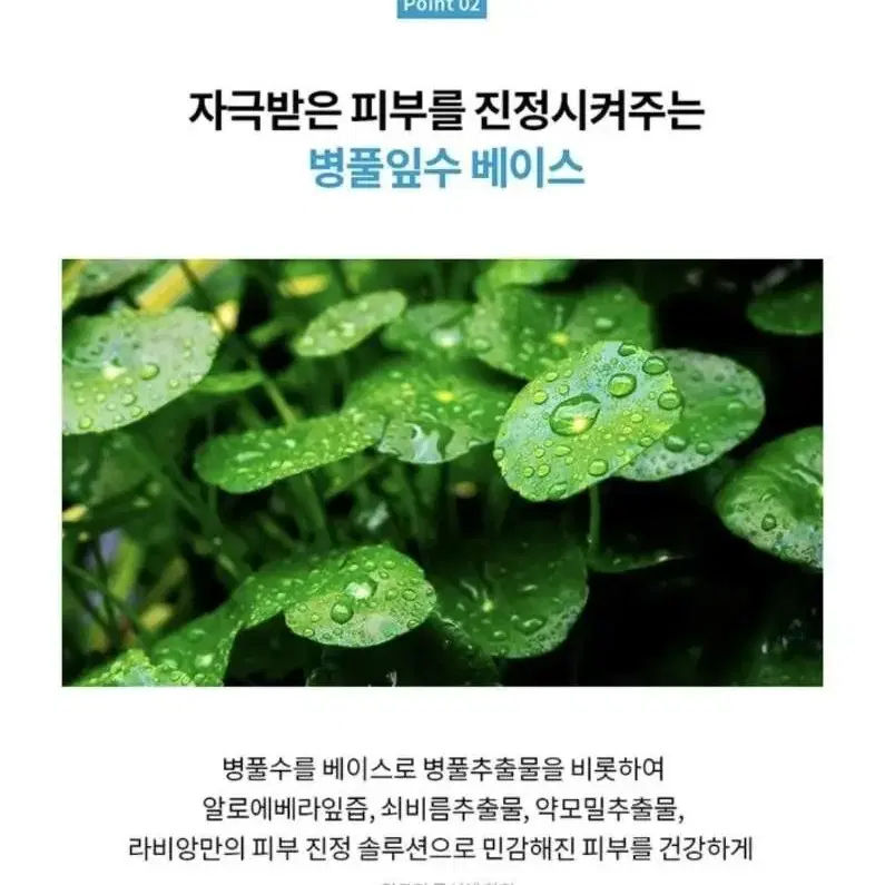 라비앙 래디언스 바이오 셀룰로오스 마스크팩