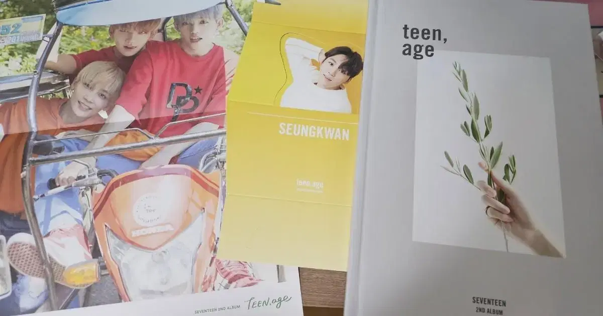 Seventeen White dk Park Hwa Gyeom simple unsealed full set