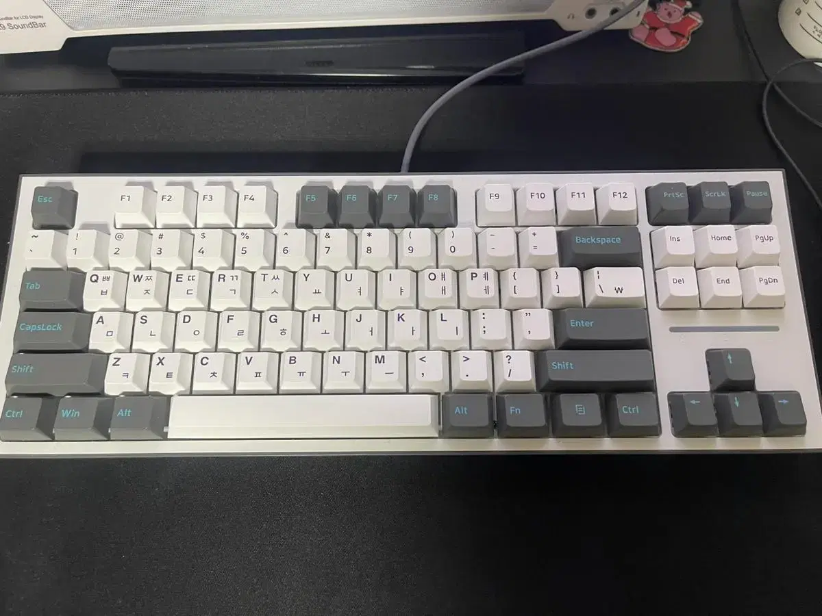 cox ck01 pbt tkl 기계식 키보드