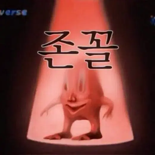 치넬리 픽시 매입합니다