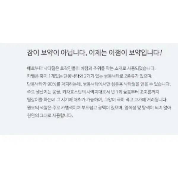 4계절 프리미엄 카멜낙타이불