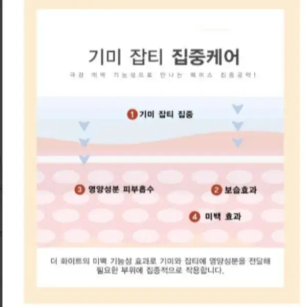 앙쥬 더 화이트 히아루로닉 8종세트 미백 주름관리