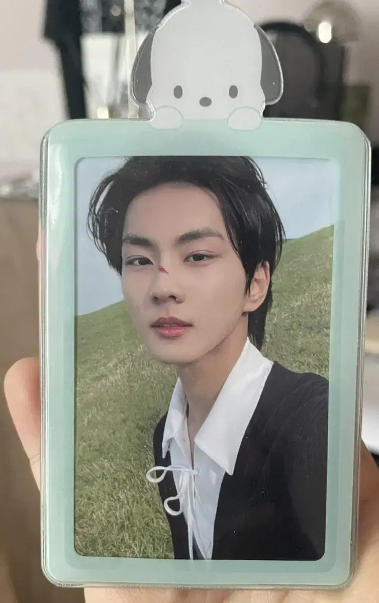 Enhypen jungwon Photocard Dimension weverse Japan