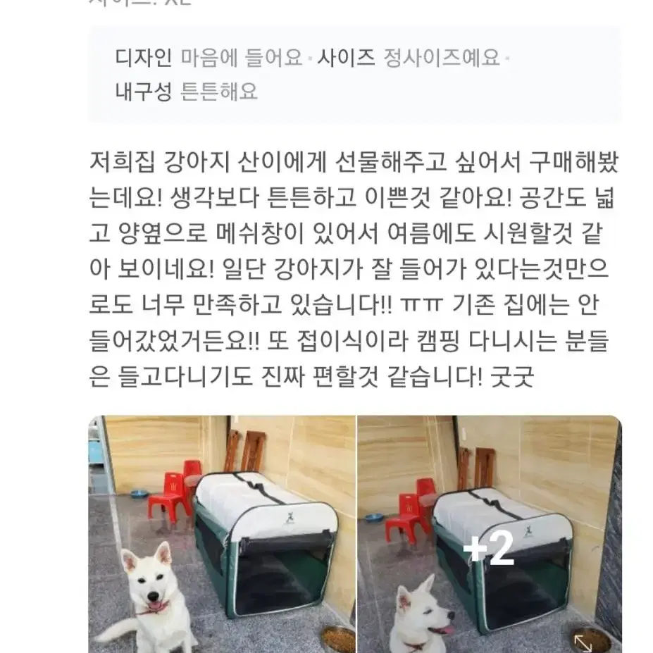 (10kg미만)강아지텐트 강아지하우스 개집 고양이하우스 고양이텐트