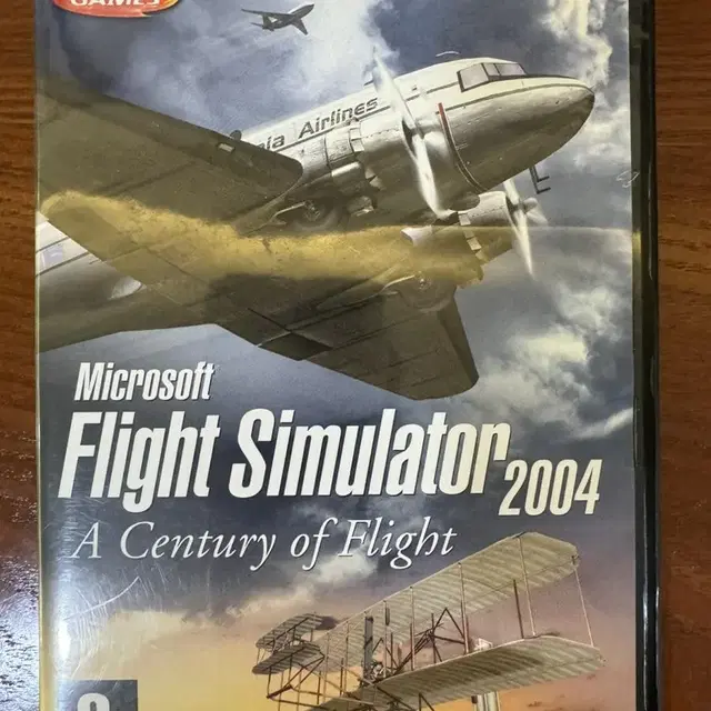 Flight simulator 2004